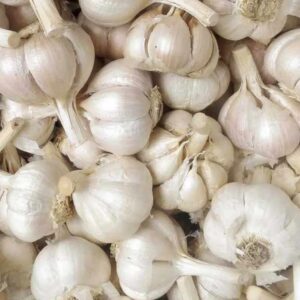 Bawang Putih Utuh