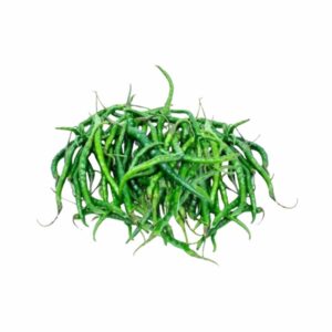Cabe Hijau Keriting