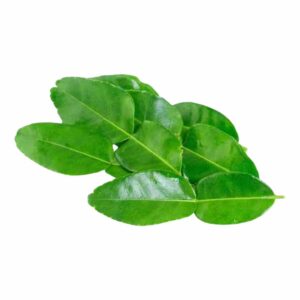 Daun Jeruk