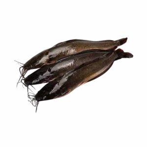 Ikan lele