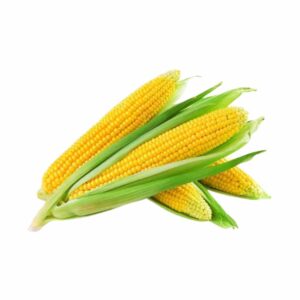 Jagung manis