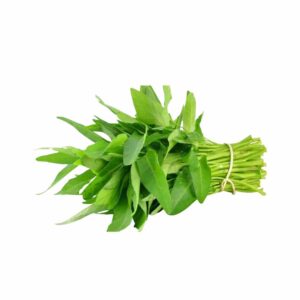 Kangkung