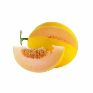 Melon