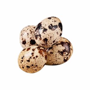 Telur puyuh